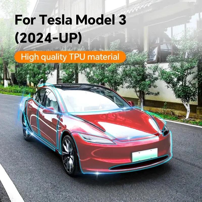 TPU   ȣ ʸ, ׽  3 ̷ 2023 2024 ¦, Ƿ Ŀ, 工  ,  ʸ